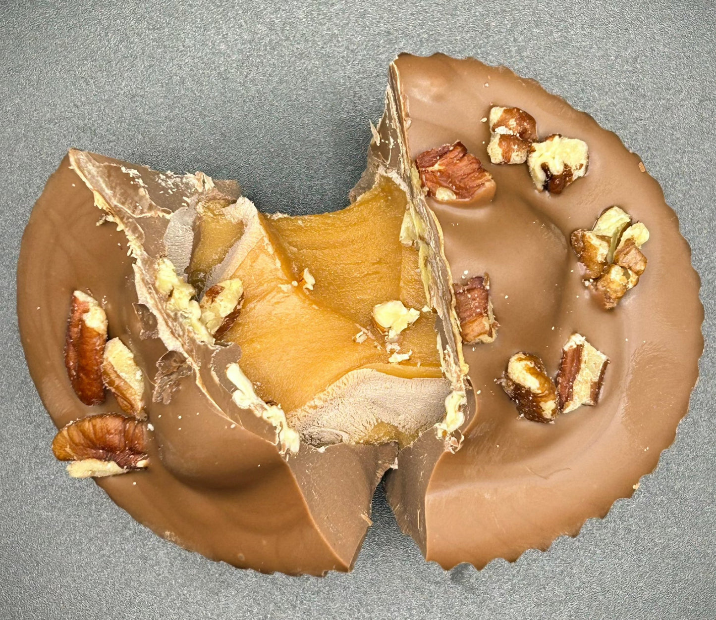 Wholesale Jumbo Turtle Cup