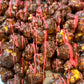 Aztec Chocolate Coated Caramel Popcorn