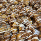 S'mores Chocolate Coated Caramel Popcorn