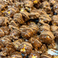 Churro Chocolate Coated Caramel Popcorn
