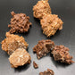 Wholesale Chocolate Coconut Clusters 5 pack